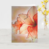 Amaryllis-Verehrung Karte (Gelbe Blume)