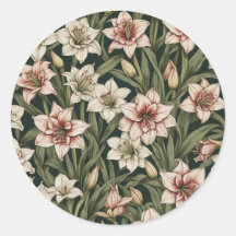 Amaryllis Vintage Blume