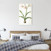 Amaryllis Vittata Leinwanddruck (Insitu (Schlafzimmer))