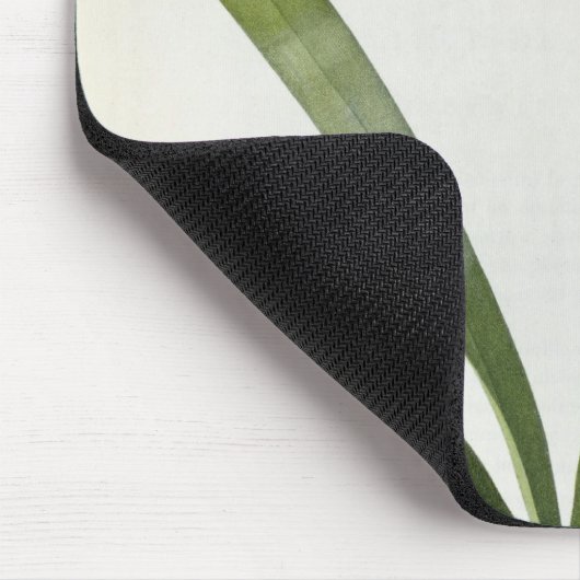 Amaryllis Vittata Mousepad (Ecke)