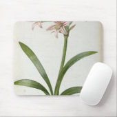 Amaryllis Vittata Mousepad (Mit Mouse)
