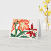 Amaryllis von Tanigami Konan Karte (Gelbe Blume)