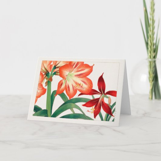 Amaryllis von Tanigami Konan Karte (Vorderseite)