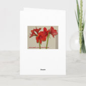 Amaryllis-Weihnachten Feiertagskarte (Rückseite)