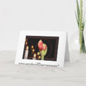 Amaryllis-Weihnachten Feiertagskarte (Rückseite)