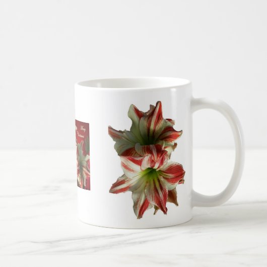 Amaryllis Weihnachtszeit-Tasse Kaffeetasse (Rechts)