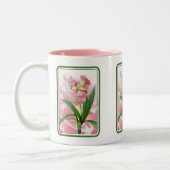 Amaryllis Zweifarbige Tasse (Links)