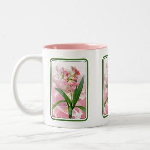 Amaryllis Zweifarbige Tasse