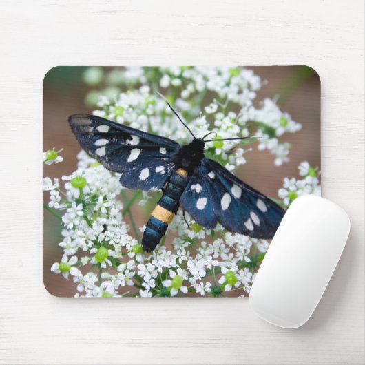 Amata phegea mousepad (Mit Mouse)