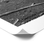 Amatenango del Valle, Chiapas, Mexiko Poster (Ecke)