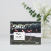 Amateur Ham Radio QSL Kartenbetreiber Florida Postkarte (Stehend Vorderseite)