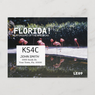 Amateur Ham Radio QSL Kartenbetreiber Florida Postkarte