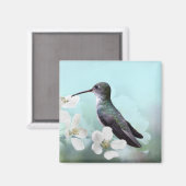 Amazilias Magnet (Vorderseite/Rückseite)