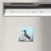 Amazilias Magnet (In Situ (Geschirrspüler))