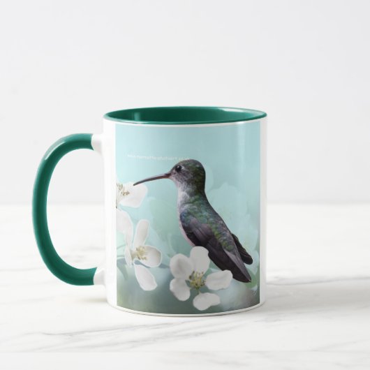 Amazilias Tasse (Links)