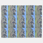 Amazing Apache Trail Fleecedecke (Vorderseite (Horizontal))