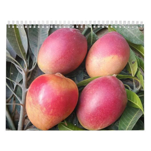Amazing mango calendar 2023 kalender (Titelbild)