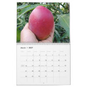 Amazing mango calendar 2023 kalender (Mär 2027)
