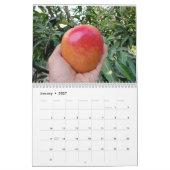 Amazing mango calendar 2023 kalender (Jan 2027)