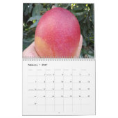 Amazing mango calendar 2023 kalender (Feb 2027)