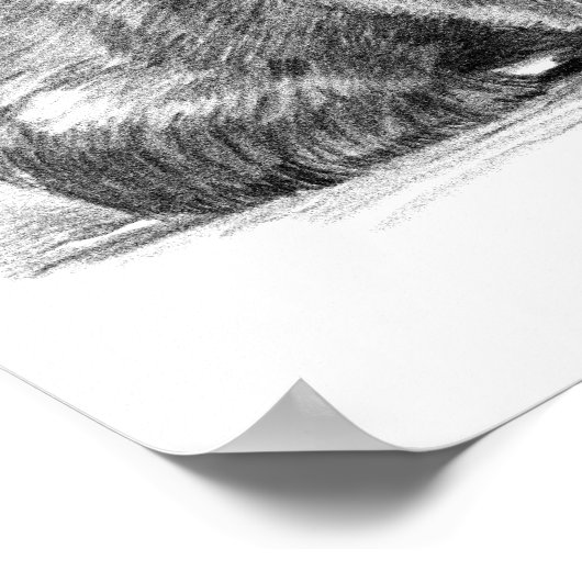 Amazing realistic wombat in pencil drawing style poster (Ecke)