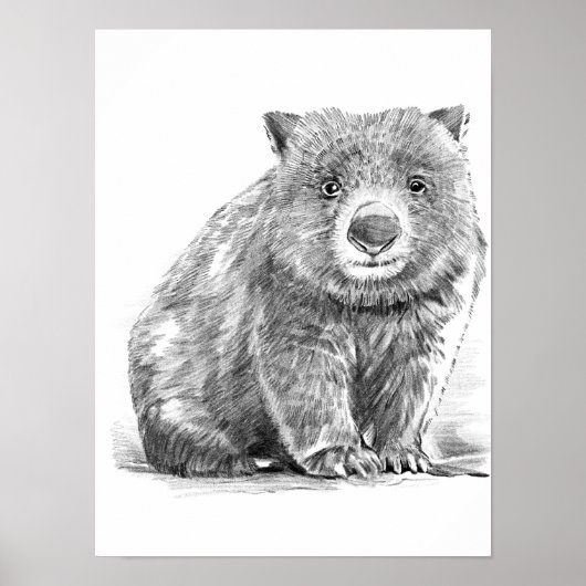 Amazing realistic wombat in pencil drawing style poster (Vorne)