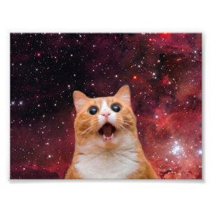 Amazing Space Cat Fotodruck