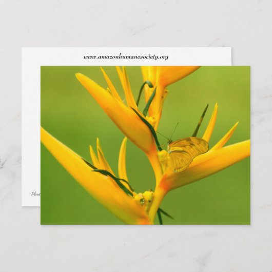 Amazon Humane Society: Amazon Nature Series Postkarte (Vorne/Hinten)