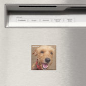 Amazon Humane Society Magnet: Wertvolle Dog Series Magnet (In Situ (Geschirrspüler))