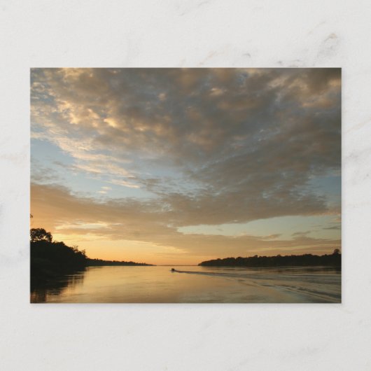 Amazon Humane Society Postcard: Schönes Amazon S Postkarte (Vorderseite)