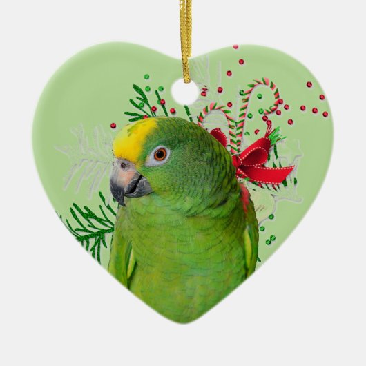 Amazon Liebe Holiday Ornament (Vorne)