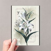 Amazon Lily Art - Gold & Scandi Style Acryleinladungen (Insitu (Handheld))