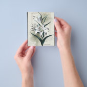 Amazon Lily Art - Gold & Scandi Style Flyer (Gruppe)