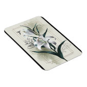 Amazon Lily Art - Gold & Scandi Style Magnet (Rechte Seite)