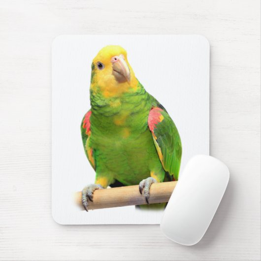 Amazon Mousepad (Mit Mouse)