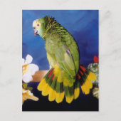 Amazon Parrot Postcard Postkarte (Vorderseite)
