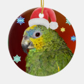 Amazon Parrot Santa Ornament (Vorne)