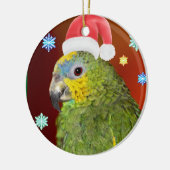 Amazon Parrot Santa Ornament (Links)