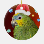 Amazon Parrot Santa Ornament (Hinten)