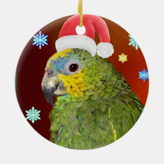 Amazon Parrot Santa Ornament (Hinten)