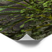 Amazon Poster (Ecke)