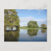 AMAZON RAINFOREST. POSTKARTE (Vorderseite)