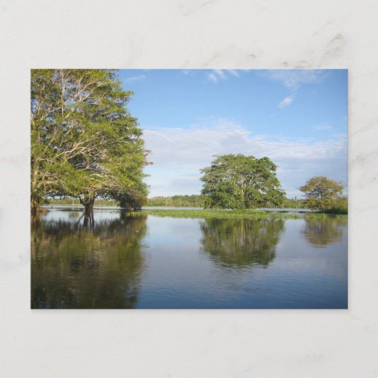 AMAZON RAINFOREST. POSTKARTE (Vorderseite)