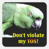 Amazon Square Stickers (Vorderseite)