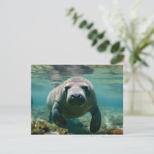 Amazonas Manatee schwimmen über dem Riff. Postkarte (Stehend Vorderseite)