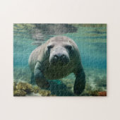 Amazonas Manatee schwimmen über dem Riff. Puzzle (Horizontal)
