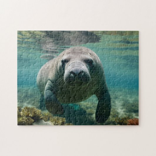 Amazonas Manatee schwimmen über dem Riff. Puzzle (Horizontal)