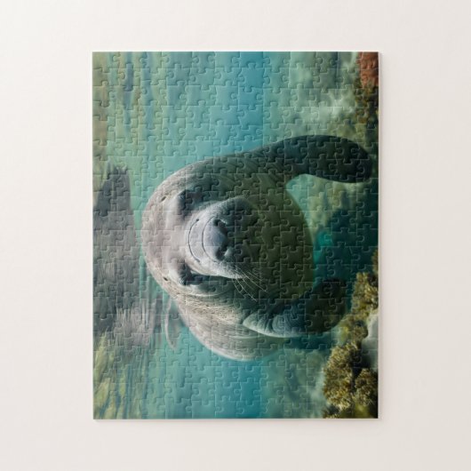 Amazonas Manatee schwimmen über dem Riff. Puzzle (Vertikal)