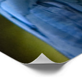 Amazonas-Parrot-Portrait Poster (Ecke)