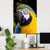 Amazonas-Parrot-Portrait Poster (Heimbüro)